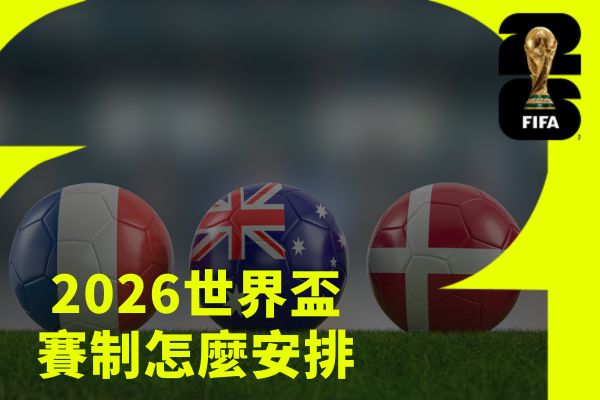 各隊是怎麼取得世界盃資格